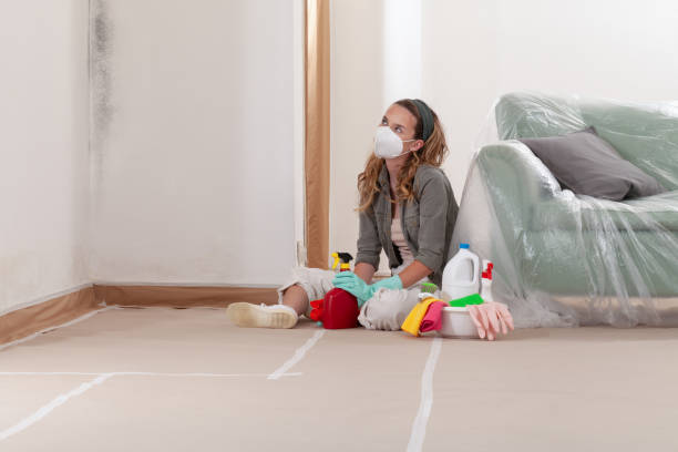 Reliable Basement Mold Remediation contractor in North Bend, OR by 24 Hour Mold Removal